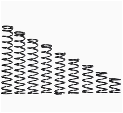 Nickel Alloy Spring